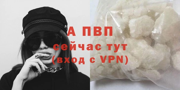 гидропоника Новокубанск
